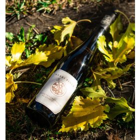 Nyári Olaszrizling minőségi száraz badacsonyi fehérbor